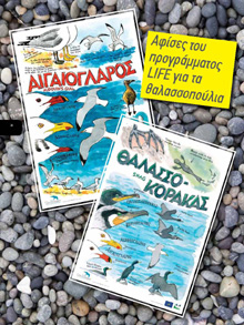 Οι αφίσες του προγράμματος 