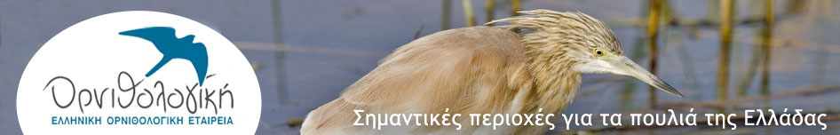 Ελληνική Ορνιθολογική Εταιρεία, φωτογραφία: Χρήστος Τόσκος