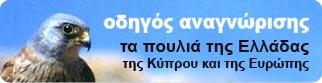 Οδηγός Παρατήρησης: Τα πουλιά της Ελλάδας, της Κύπρου και της Ευρώπης
