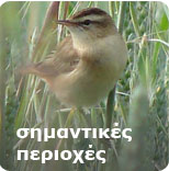 Σημαντικές Περιοχές για τα πουλιά της Ελλάδας
