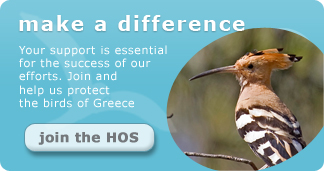 Support the Hellenic Ornithological Society