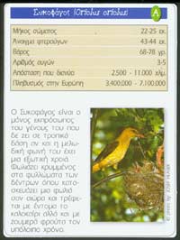 Migratory bird cards
