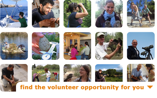 Find the best volunteer opportunity for you