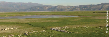 Πλημμυρισμένες εκτάσεις της Κάρλας με την εισαγωγή υδάτων την άνοιξη του 2009, άποψη από το Μαυροβούνι, Φωτογραφία: Απόστολος Χριστόπουλος