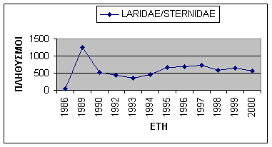 Laridae - Sternidae