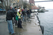 Pilot seabird coastal counts at the Bosphorus.