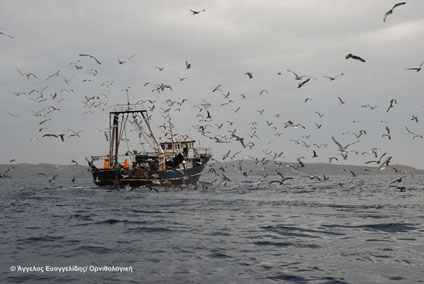 Αλιευτικό στα Δωδεκάνησα, φωτό: Α. Ευαγγελίδης